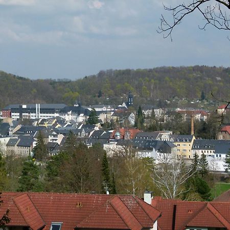 Urlaub Und Arbeit In Waldheim Leilighet Eksteriør bilde